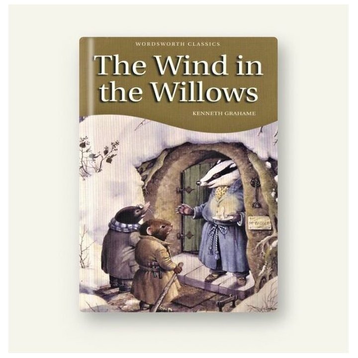 The Wind in the Willows image