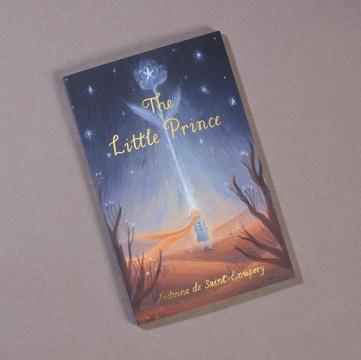 The Little Prince image
