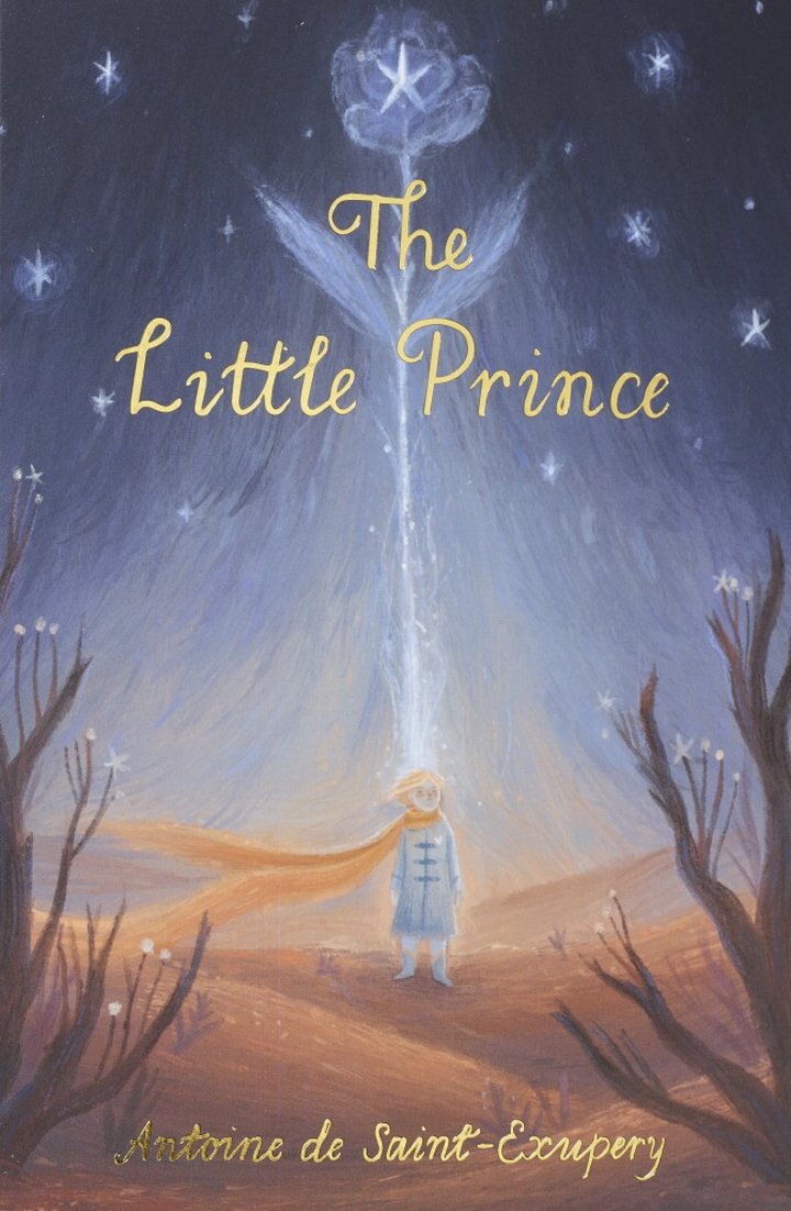 The Little Prince image